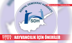 Sosyal Demokrat Hareketi'nden, hayvancılık için öneriler...