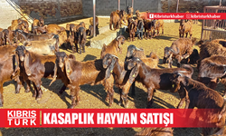 Devlet Üretme Çiftliği , kasaplık hayvan satışı yapacak