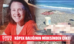 Dalış sırasında kayboldu: Köpek balığının midesinde bulundu!