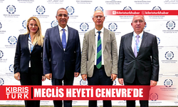 Meclis heyeti Cenevre’de “Kıbrıs Kolaylaştırıcılar Grubu” toplantısına katıldı