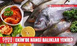 Balık tezgahları doldu taşıyor... Ekim ayında hangi balıklar yenir?