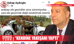 Aşıkoğlu: '' Bir grup maymun, bir arabayı ele geçirdi ancak süremedi...''