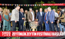 23. Zeytinlik Zeytin Festivali başladı