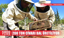 KKTC’de yılda 200 ton civarında bal üretiliyor