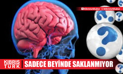 Anıların sadece beyinde saklanmadığı tespit edildi