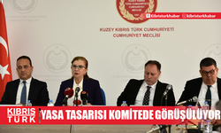 2025 Bütçe Yasa Tasarısı Komitede görüşülüyor