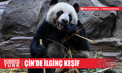 Çin’de 100 bin yıllık dev panda fosilleri bulundu