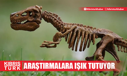 Dinozorların fosilleşmiş dışkıları besin alışkanlıklarına ışık tutuyor