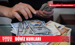 5 Kasım 2024 Döviz Kurları