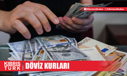 Döviz Kurları