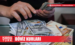 Döviz Kurları