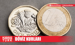 Döviz Kurları