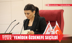 Meclis Başkan Yardımcısı yeniden Özdenefe