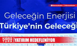 Türkiye'de rüzgar enerjisi sektörü yılda 5 gigavatlık yatırım hedefliyor