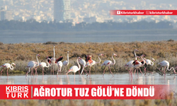 Yüzlerce flamingo Ağrotur Tuz Gölü'ne geri döndü