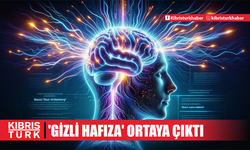 Vücudun 'gizli hafızası' ortaya çıktı: İşte beyin gibi anı depolayan şaşırtıcı organ