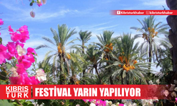 Lefke Hurma Festivali yarın yapılıyor