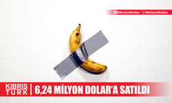 ABD'de 2019'da 120 bin dolara satılan "duvara bantlanmış muz" eseri, 6,24 milyon dolara alıcı buldu