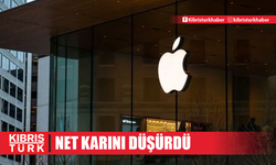 Apple gelirini artırdı, net karını düşürdü