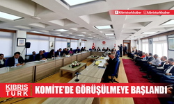 2025 bütçesinin komitede görüşülmesine başlandı