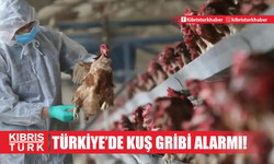 Konya'da kuş gribi alarmı! Yumurtada tespit edildi: Bakanlıktan korkutan açıklama geldi