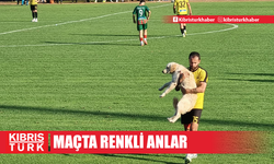 SAHAYA GİREN SEVİMLİ KÖPEK MÜSABAKAYI KISA SÜRELİĞİNE DURDURDU