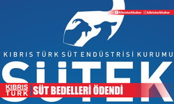 Süt bedelleri ödendi... 611 üreticiye yaklaşık 127 milyon TL