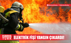 Fırının ısınan elektrik fişi yangın çıkardı