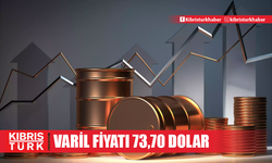 Brent petrolün varil fiyatı 73,70 dolar