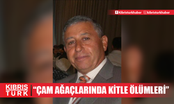 KEMA: "Kızılçam ormanlarında kabuk böceğinin istilası sonucu çam ağaçlarında kitle ölümleri yaşanmaya başladı"