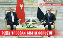 TC Cumhurbaşkanı Erdoğan, Mısır Cumhurbaşkanı Sisi ile görüştü