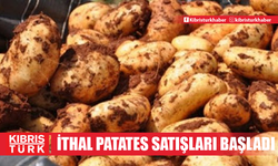 İthal patates satışları başladı