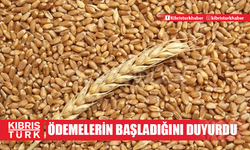 Tarım Bakanlığı buğday ödemelerinin başladığını duyurdu