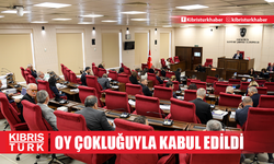 Meclis Genel Kurulu'nda PGM ve Sivil Savunma Teşkilatı Başkanlığı bütçeleri oy birliğiyle kabul edildi