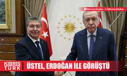 Başbakan Üstel, Türkiye Cumhurbaşkanı Erdoğan ile görüştü