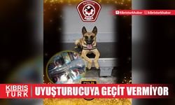 NARKOTİK DEDEKTÖR KÖPEKLERİ UYUŞTURUCU TACİRLERİNE GEÇİT VERMİYOR