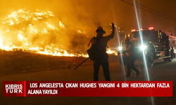 Los Angeles'ta çıkan Hughes yangını 4 bin hektardan fazla alana yayıldı