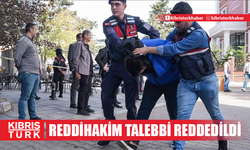 Türkiye'de "Yenidoğan çetesi" davasında sanık avukatlarının reddihakim talebi reddedildi