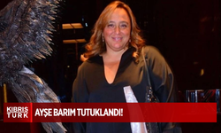 Ayşe Barım, Gezi Parkı olaylarının planlayıcılarından olduğu iddiasıyla tutuklandı