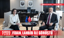 Fidan, AB Komisyonu üyesi Lahbib ile görüştü