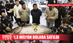 Japonya'da mavi yüzgeçli orkinos 1,3 milyon dolara satıldı