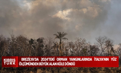 Rapor: Brezilya'da 2024'teki orman yangınlarında İtalya'nın yüz ölçümünden büyük alan küle döndü