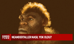 Neandertaller nasıl yok oldu? Kan grupları etkili olmuş olabilir mi?