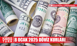 8 Ocak 2025 Döviz kurları