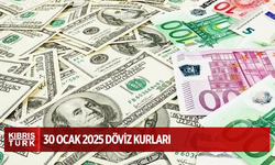 30 Ocak 2025 Döviz Kurları