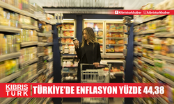 Türkiye'de yıllık enflasyon yüzde 44,38