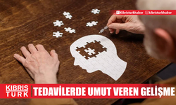 "Alzheimer" ve "Parkinson" gibi nörodejeneratif hastalıkların tedavisinde umut veren gelişme