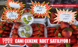 Canı çekene, 'adet' satılıyor; nektarin, şeftali 150, erik 100 lira!