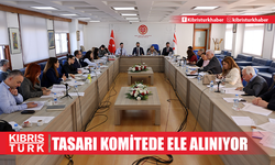 Sağlık Hizmetleri Dairesi Yasa Tasarısı komitede ele alınıyor