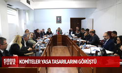 Hukuk, Siyasi İşler, Dışilişkiler ve Savunma Komitesi on tane yasa tasarısını görüştü